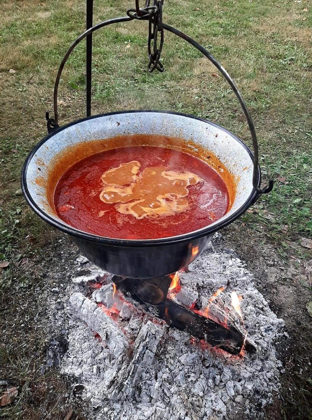 Zmaj Ognjeni Etno Concept Διαμέρισμα Kupinovo Εξωτερικό φωτογραφία